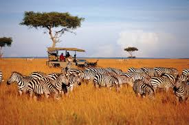 Kili Excursion & Safari