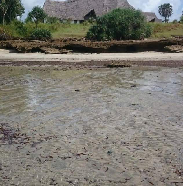 8 hectares of coral beach with tourism attractions forsale/rent/investor