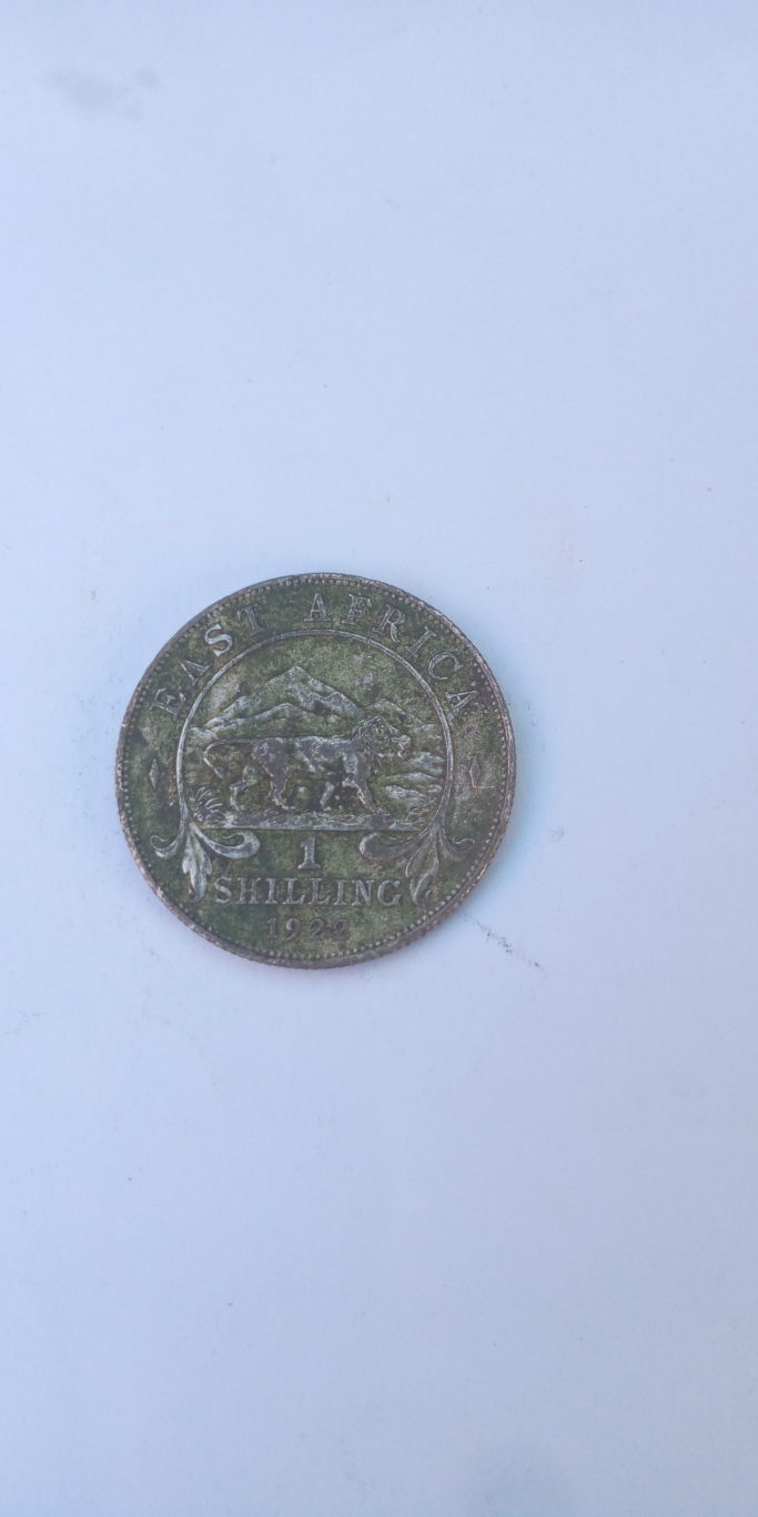 1922 British East Africa 1 shilling