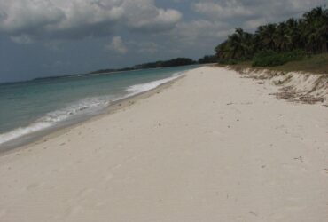 11 acres of a beach plot for sale
