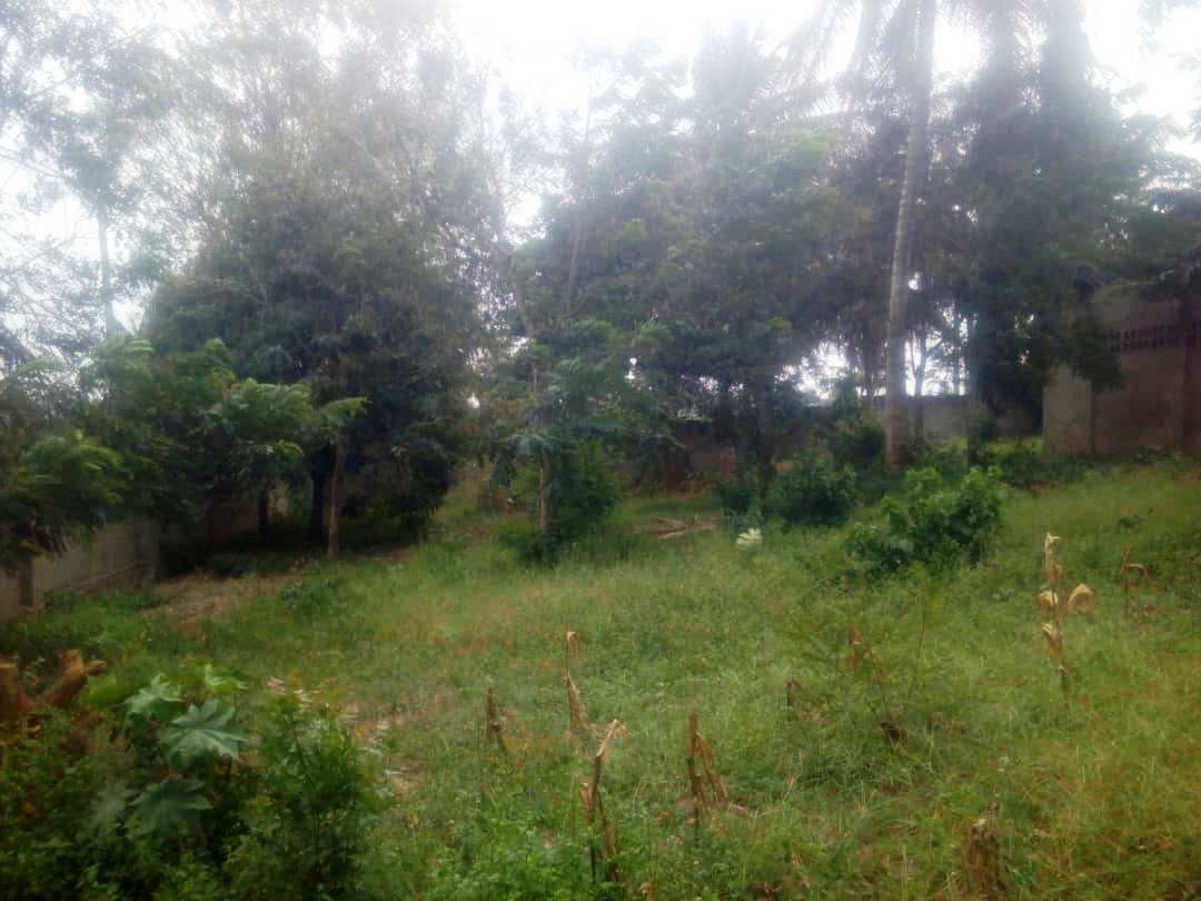 3200sqm fenced plot for sale