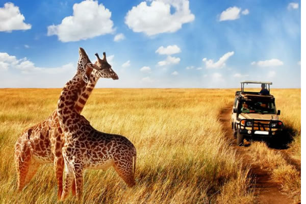 Tanzania tour packages