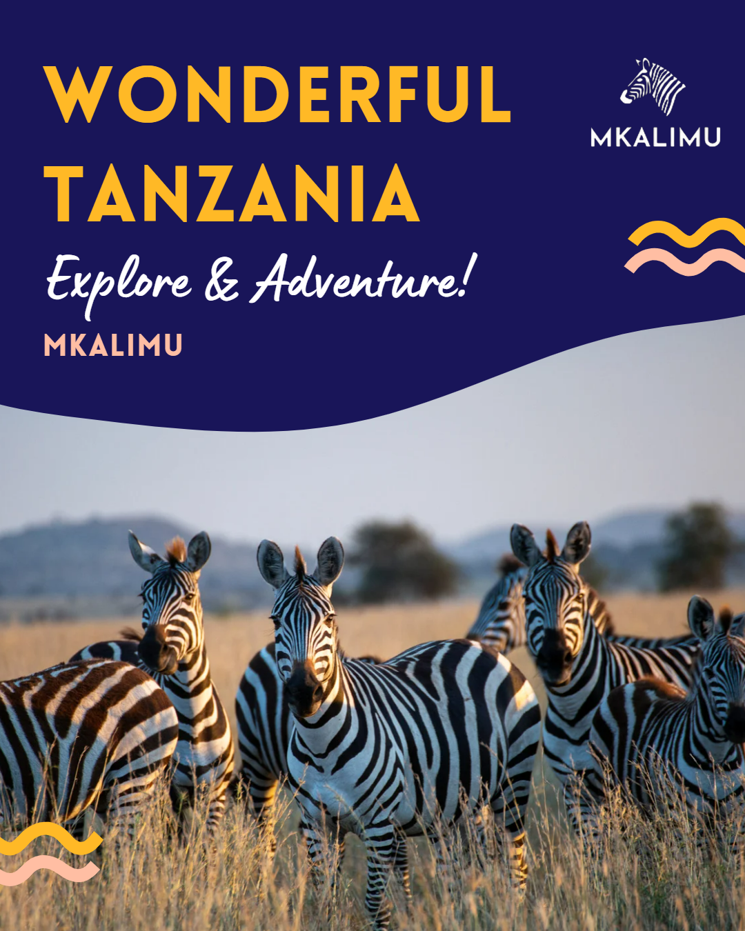 Experience Tanzania with Mkalimu Tours